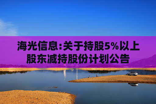 海光信息:关于持股5%以上股东减持股份计划公告
