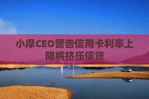 小摩CEO警告信用卡利率上限将挤压信贷