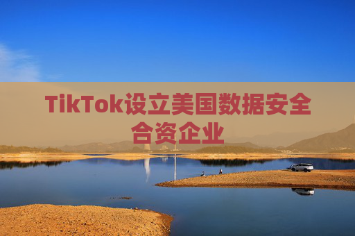 TikTok设立美国数据安全合资企业