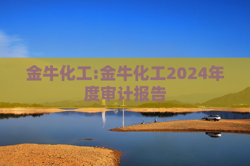 金牛化工:金牛化工2024年度审计报告