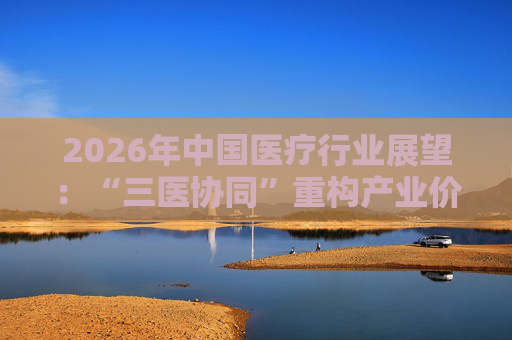 2026年中国医疗行业展望：“三医协同”重构产业价值链
