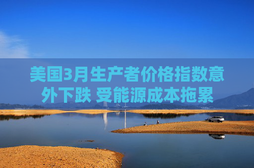 美国3月生产者价格指数意外下跌 受能源成本拖累  第1张