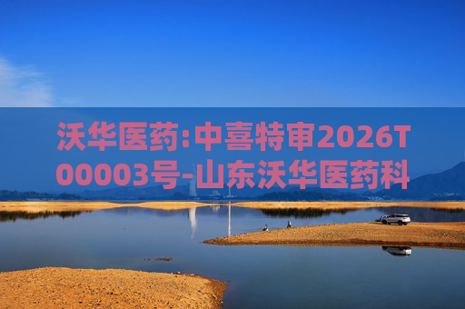 沃华医药:中喜特审2026T00003号-山东沃华医药科技股份有限公司-关联资金占用报告