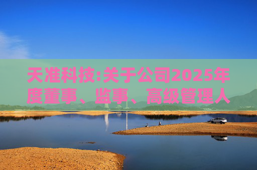 天准科技:关于公司2025年度董事、监事、高级管理人员薪酬方案的公告