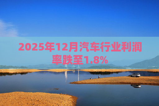 2025年12月汽车行业利润率跌至1.8%