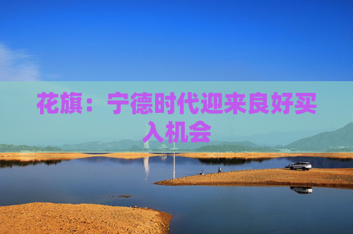 花旗：宁德时代迎来良好买入机会