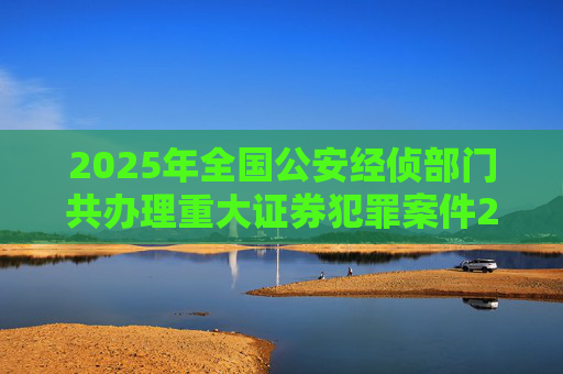 2025年全国公安经侦部门共办理重大证券犯罪案件200余起