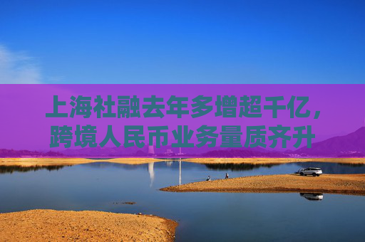 上海社融去年多增超千亿，跨境人民币业务量质齐升