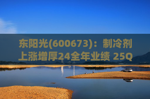 东阳光(600673)：制冷剂上涨增厚24全年业绩 25Q1业绩略超预期 液冷与具身智能共创未来
