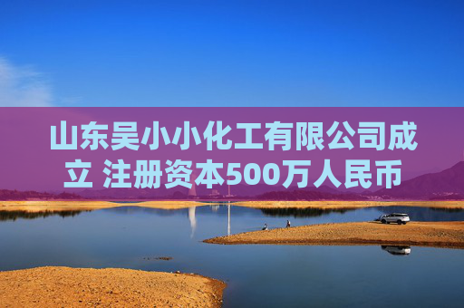 山东吴小小化工有限公司成立 注册资本500万人民币