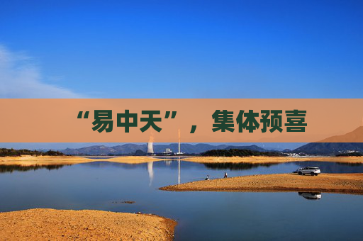 “易中天”，集体预喜