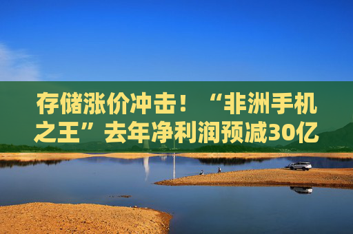 存储涨价冲击！“非洲手机之王”去年净利润预减30亿元