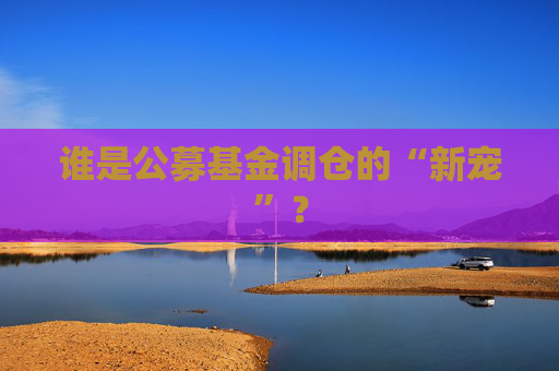 谁是公募基金调仓的“新宠”？  第1张
