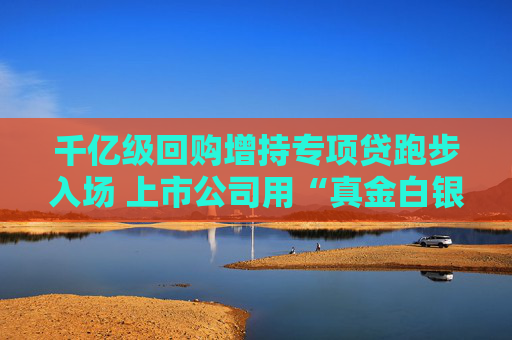 千亿级回购增持专项贷跑步入场 上市公司用“真金白银”提振信心  第1张