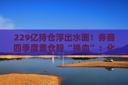 229亿持仓浮出水面！券商四季度重仓股“换血”：化工、硬件成新宠，高股息策略成制胜法宝  第1张