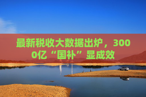 最新税收大数据出炉,3000亿“国补”显成效 第1张 最新税收大数据出炉,3000亿“国补”显成效 第1张