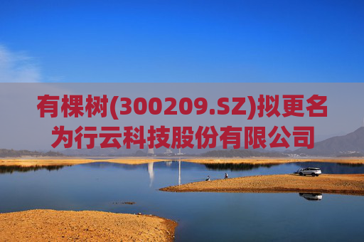 有棵树(300209.SZ)拟更名为行云科技股份有限公司