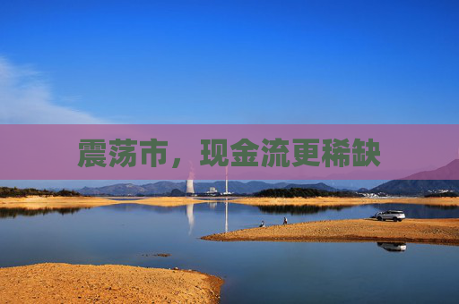 震荡市，现金流更稀缺