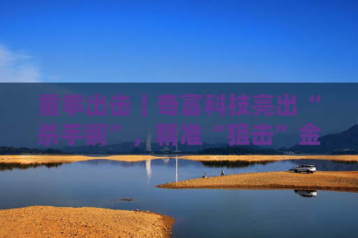 重拳出击丨奇富科技亮出“杀手锏”，精准“狙击”金融黑灰产