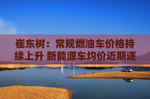 崔东树：常规燃油车价格持续上升 新能源车均价近期逐步下降  第1张