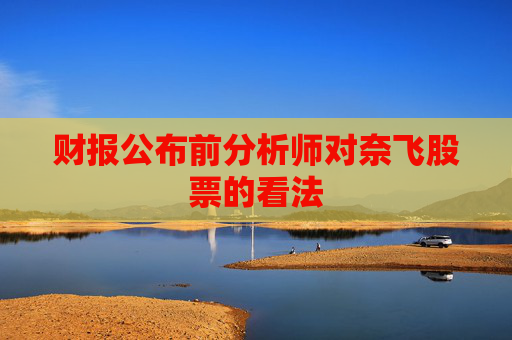 财报公布前分析师对奈飞股票的看法