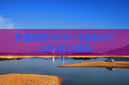 东亚银行(00023)授出870.23万份认股权  第1张