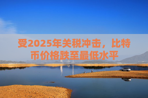 受2025年关税冲击，比特币价格跌至最低水平