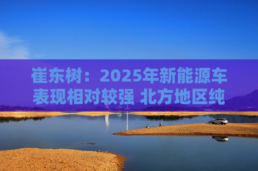 崔东树：2025年新能源车表现相对较强 北方地区纯电动占比提升明显
