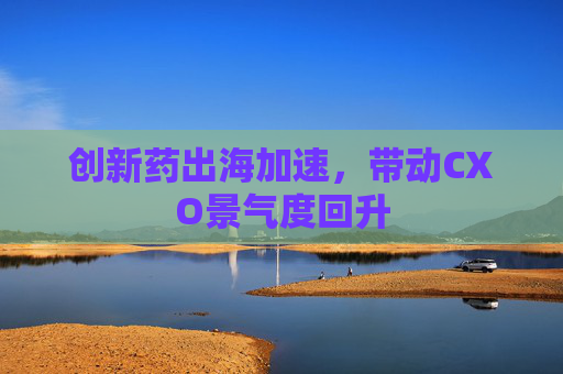 创新药出海加速，带动CXO景气度回升