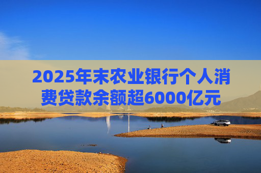 2025年末农业银行个人消费贷款余额超6000亿元