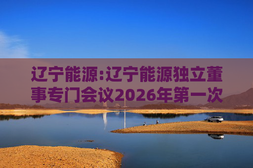 辽宁能源:辽宁能源独立董事专门会议2026年第一次会议决议