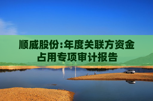 顺威股份:年度关联方资金占用专项审计报告