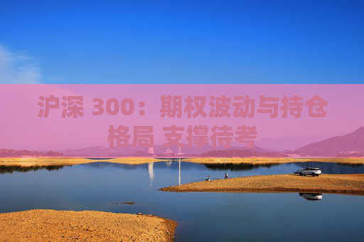 沪深 300：期权波动与持仓格局 支撑待考