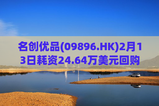 名创优品(09896.HK)2月13日耗资24.64万美元回购5.11万股