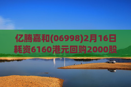 亿腾嘉和(06998)2月16日耗资6160港元回购2000股