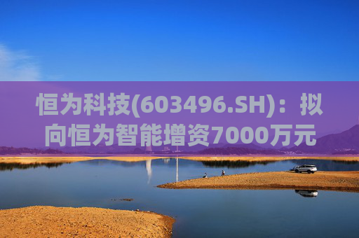 恒为科技(603496.SH)：拟向恒为智能增资7000万元