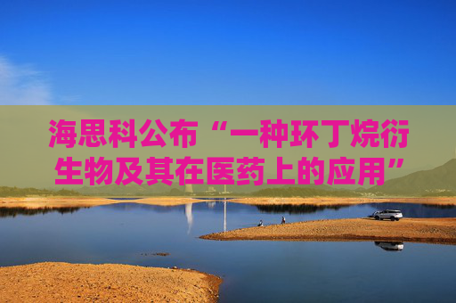 海思科公布“一种环丁烷衍生物及其在医药上的应用”专利