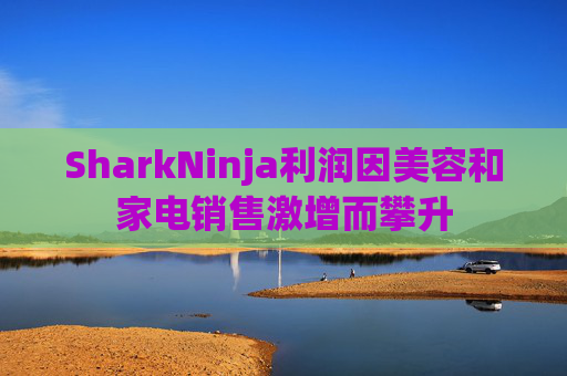 SharkNinja利润因美容和家电销售激增而攀升