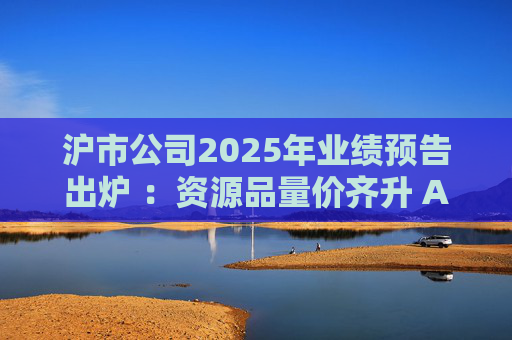 沪市公司2025年业绩预告出炉 ：资源品量价齐升 AI链景气延续