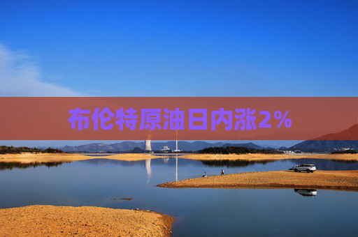 布伦特原油日内涨2%