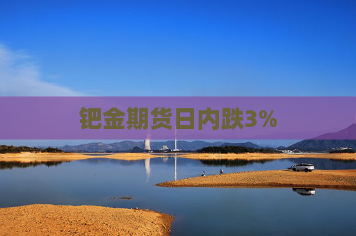钯金期货日内跌3%