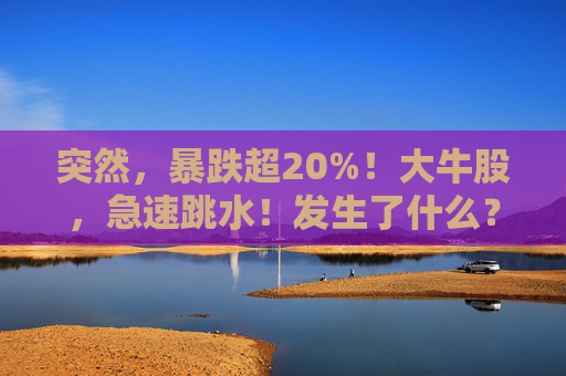 突然，暴跌超20%！大牛股，急速跳水！发生了什么？