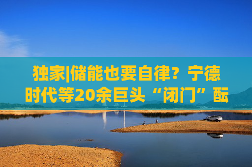 独家|储能也要自律？宁德时代等20余巨头“闭门”酝酿倡议