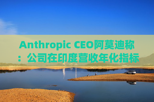 Anthropic CEO阿莫迪称：公司在印度营收年化指标4个月内翻倍