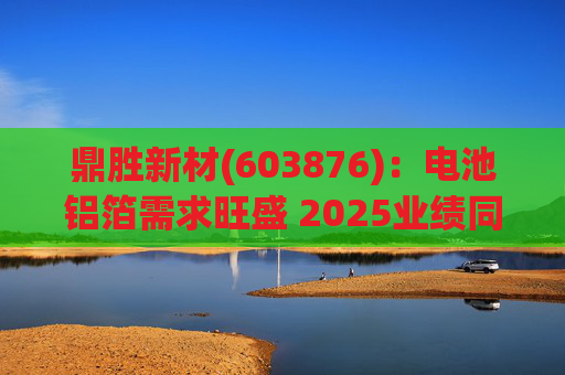 鼎胜新材(603876)：电池铝箔需求旺盛 2025业绩同比高增
