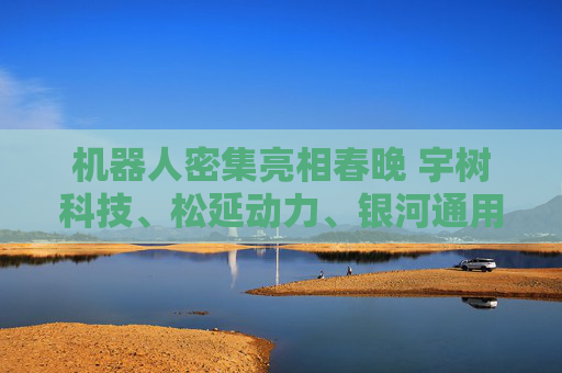 机器人密集亮相春晚 宇树科技、松延动力、银河通用、魔法原子等概念股梳理
