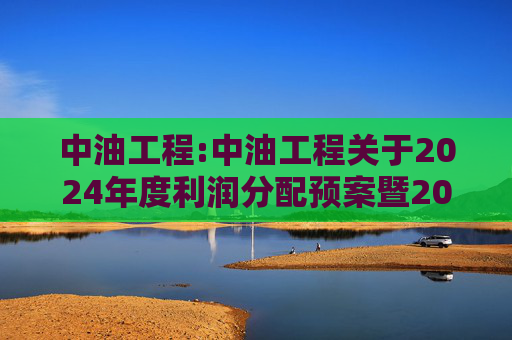 中油工程:中油工程关于2024年度利润分配预案暨2025年中期现金分红有关事项授权的公告