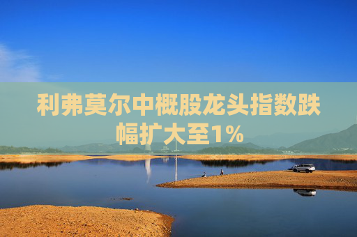 利弗莫尔中概股龙头指数跌幅扩大至1%