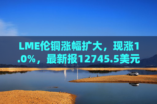 LME伦铜涨幅扩大，现涨1.0%，最新报12745.5美元/吨