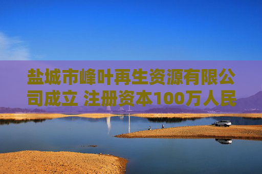 盐城市峰叶再生资源有限公司成立 注册资本100万人民币